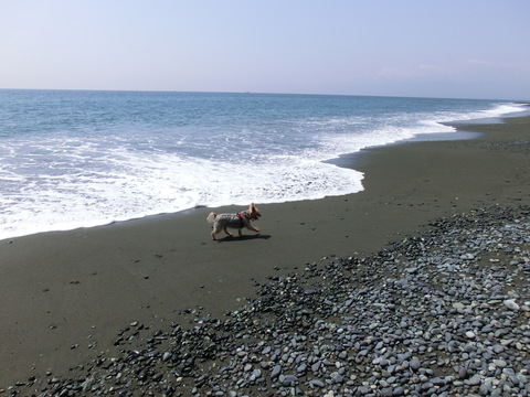 e0123587_1845063.jpg