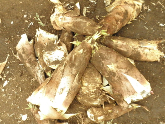 c0281888_15151981.jpg