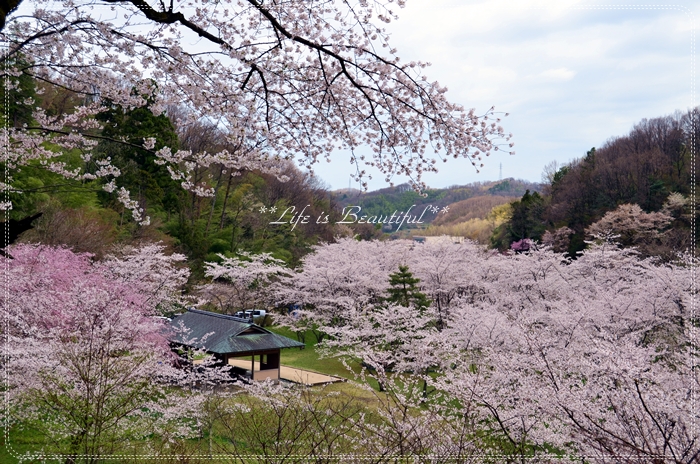 c0156789_238875.jpg