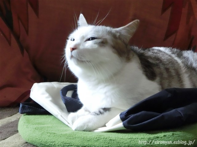 a0159490_10293779.jpg