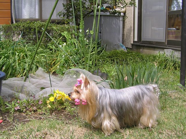 f0130894_21444222.jpg