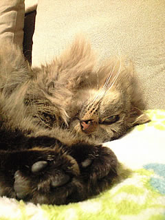 c0035001_1548471.jpg