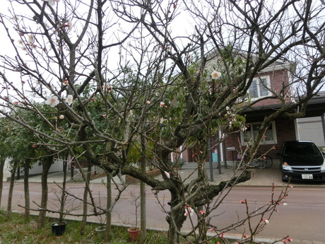 a0203003_1610144.jpg