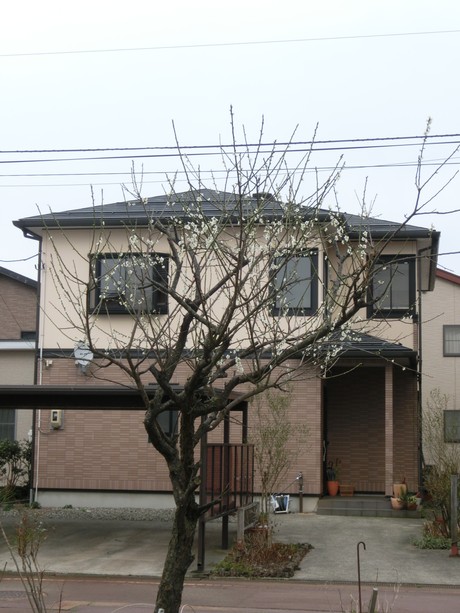 a0203003_1691873.jpg