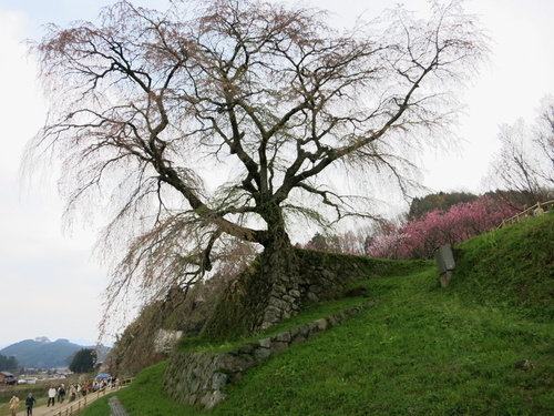 c0043403_22114822.jpg