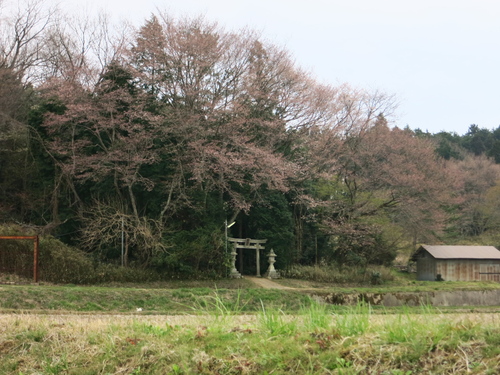c0043403_22136100.jpg