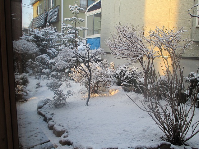 f0202703_23283346.jpg