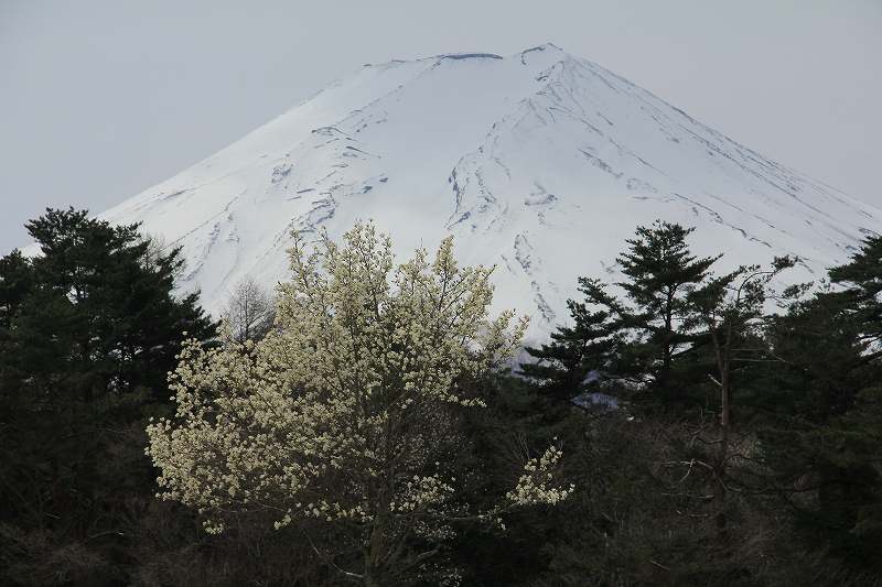 a0188405_920281.jpg
