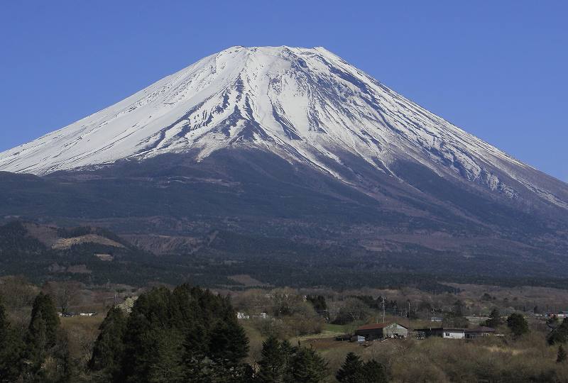 a0188405_9294164.jpg