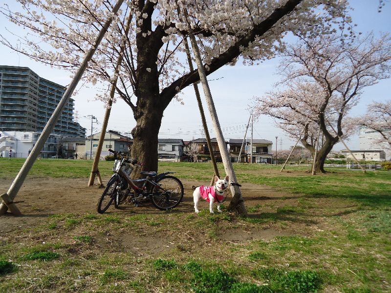 b0148106_3182893.jpg