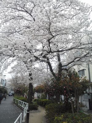 f0006509_0544845.jpg