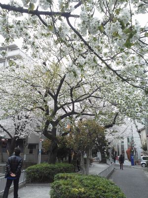 f0006509_0571027.jpg