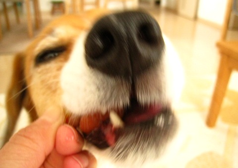 c0084117_1824189.jpg