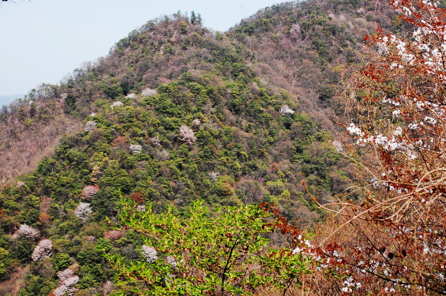 f0248120_20574712.jpg