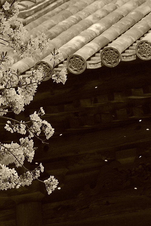 f0248120_2118442.jpg