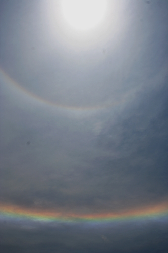 a0169525_17254765.jpg