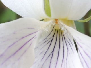 f0229926_17392045.jpg