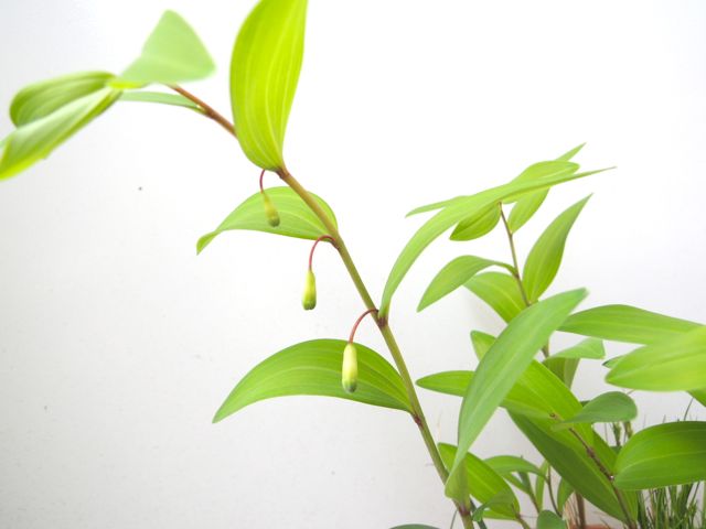 f0229926_922026.jpg