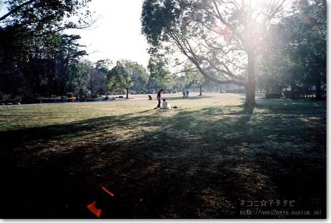 c0221529_235853100.jpg