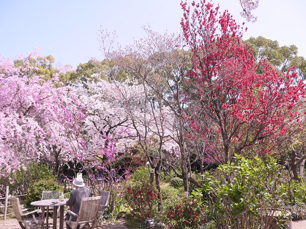 f0231829_2237072.jpg