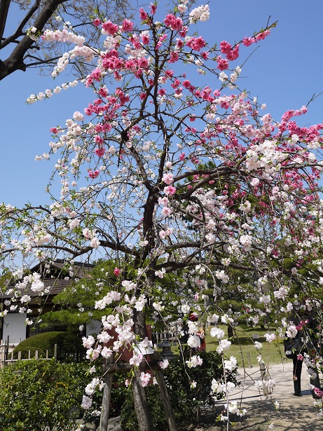 f0231829_22374270.jpg