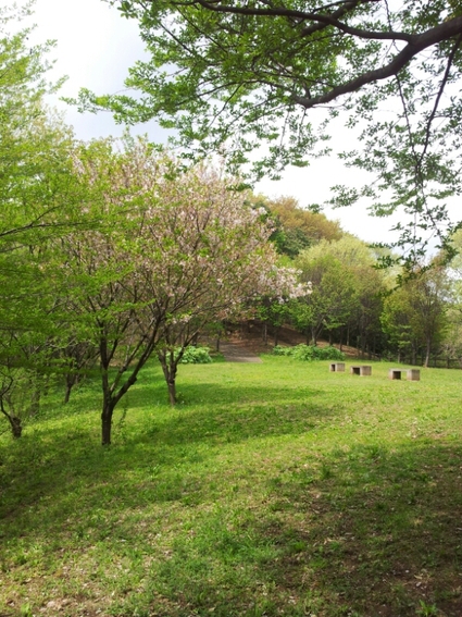 a0146431_12165690.jpg