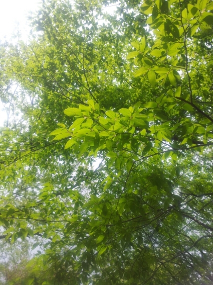 a0146431_12172588.jpg