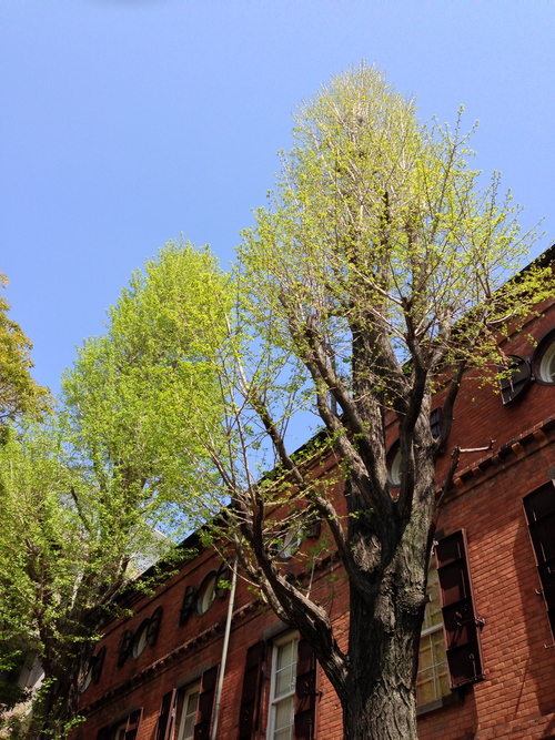 e0081334_2335234.jpg