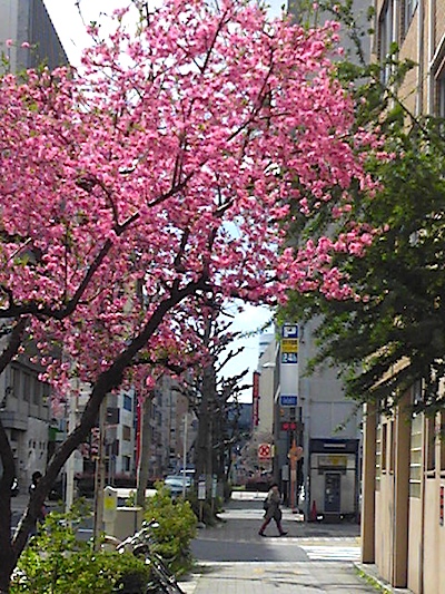b0027736_224708.jpg