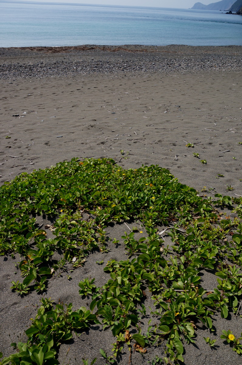 b0060239_18472821.jpg