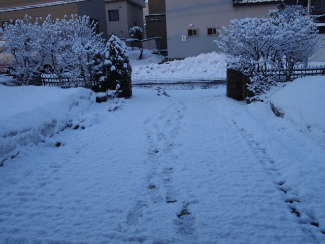 c0117239_849176.jpg