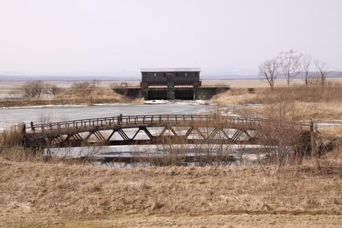 f0113639_15535427.jpg