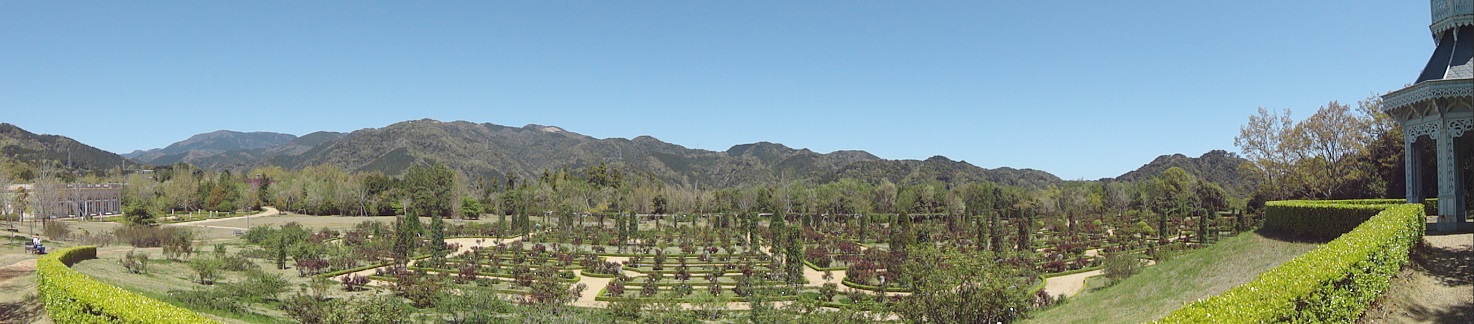 e0201748_6573916.jpg