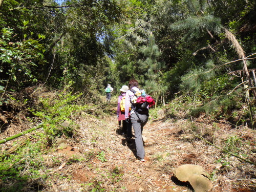 c0179351_14192269.jpg