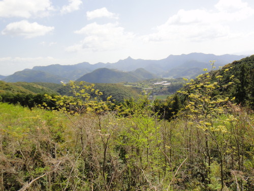 c0179351_14374864.jpg
