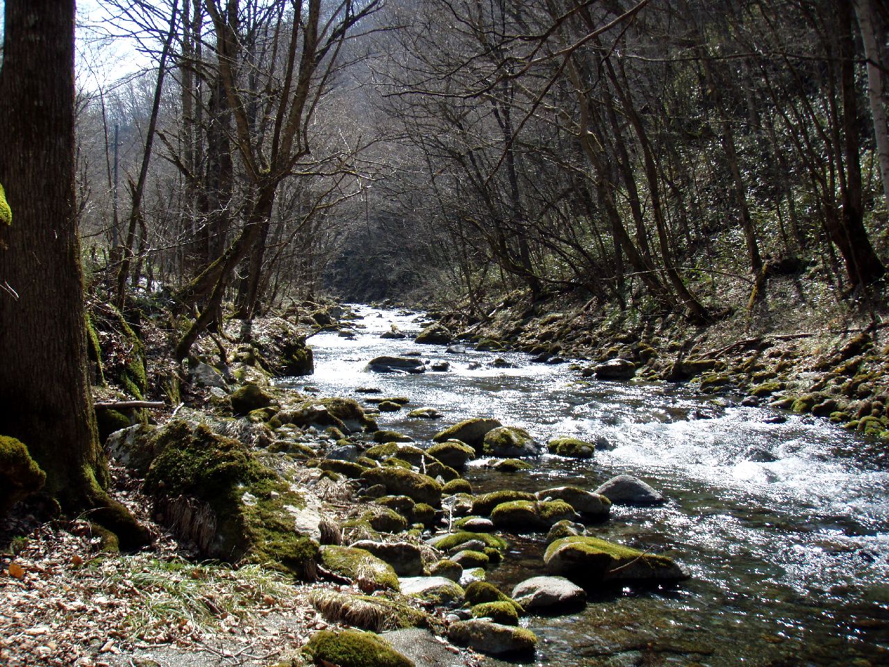 d0283357_22341937.jpg