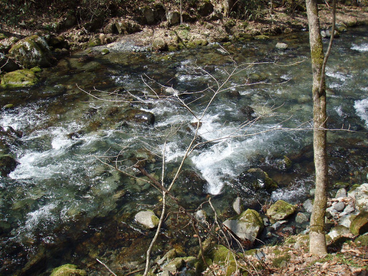 d0283357_2234529.jpg