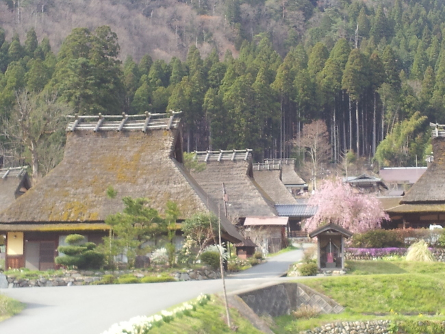 e0187064_012427.jpg