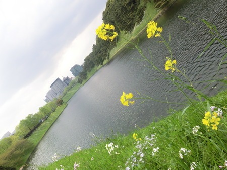 b0190666_044484.jpg