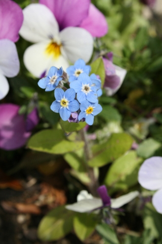 c0248269_92587.jpg