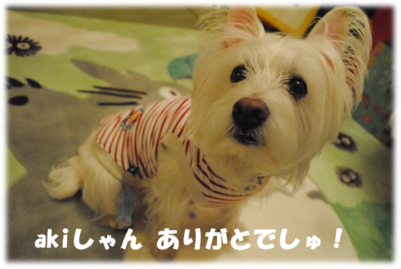 b0242873_2248139.png