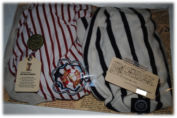 b0242873_22523453.png