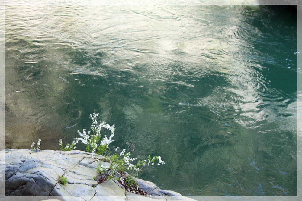 e0027083_817211.jpg