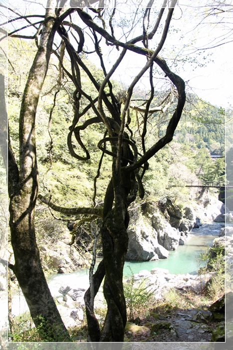 e0027083_892360.jpg