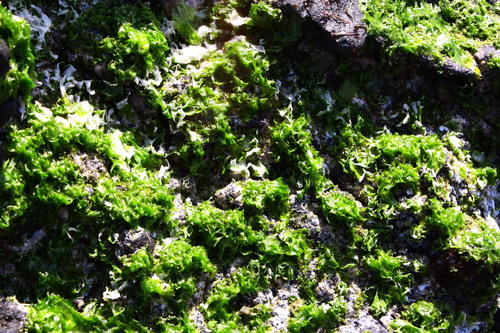c0204385_19584956.jpg
