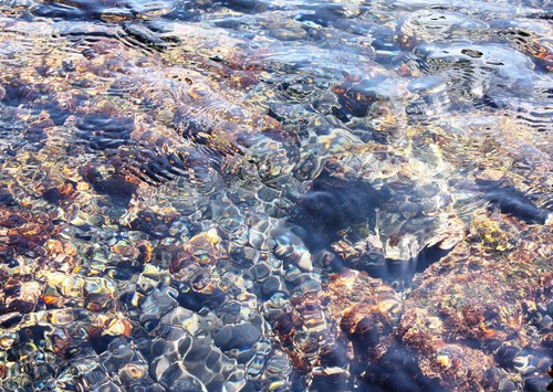 c0204385_2031219.jpg