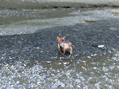 e0123587_21112893.jpg