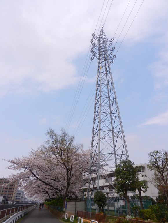 d0224990_2051077.jpg