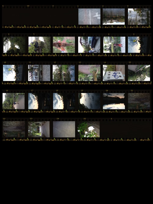 d0039803_939449.jpg