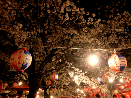 a0201204_14173432.jpg
